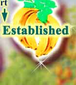 Established