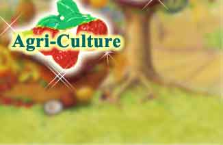 Agri-Culture