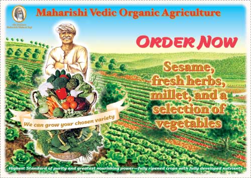 Maharishi Lands of World Peace